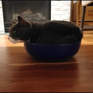 Meet your Posher, Lindsay